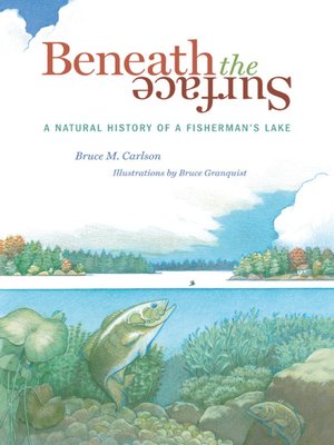 cover image of Beneath the Surface